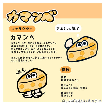 2:00 しみずあおい カマンベ　メッシュフラットポーチ